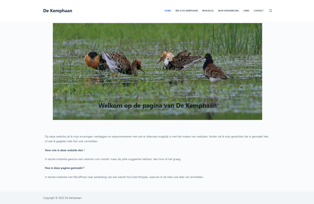 Screenshot eerste webpagina